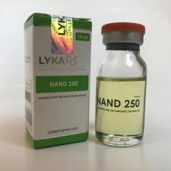 Libol LYKA PHARMA 300 мг/мл 10 мл