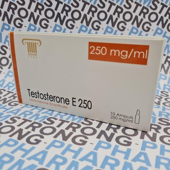 Testosterone E 250 (тестостерон энантат) от Olymp Labs