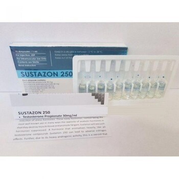 SUSTAZON HORIZON 250 мг/мл 10 ампул