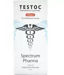 TESTOC 200 (тестостерон ципионат) от SPECTRUM