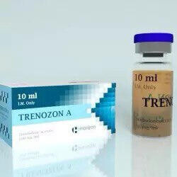 Trenozon A HORIZON PHARMA 100 мг/мл 10 мл