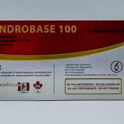 Androbase CanadaBioLabs 100 мг/мл 10 ампул