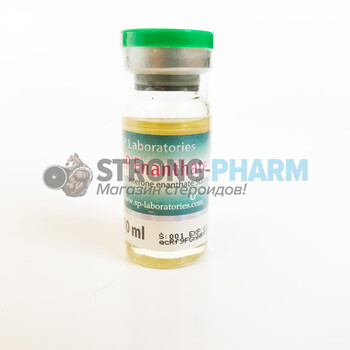 Enanthate Forte 500 (тестостерон энантат) от SP labs